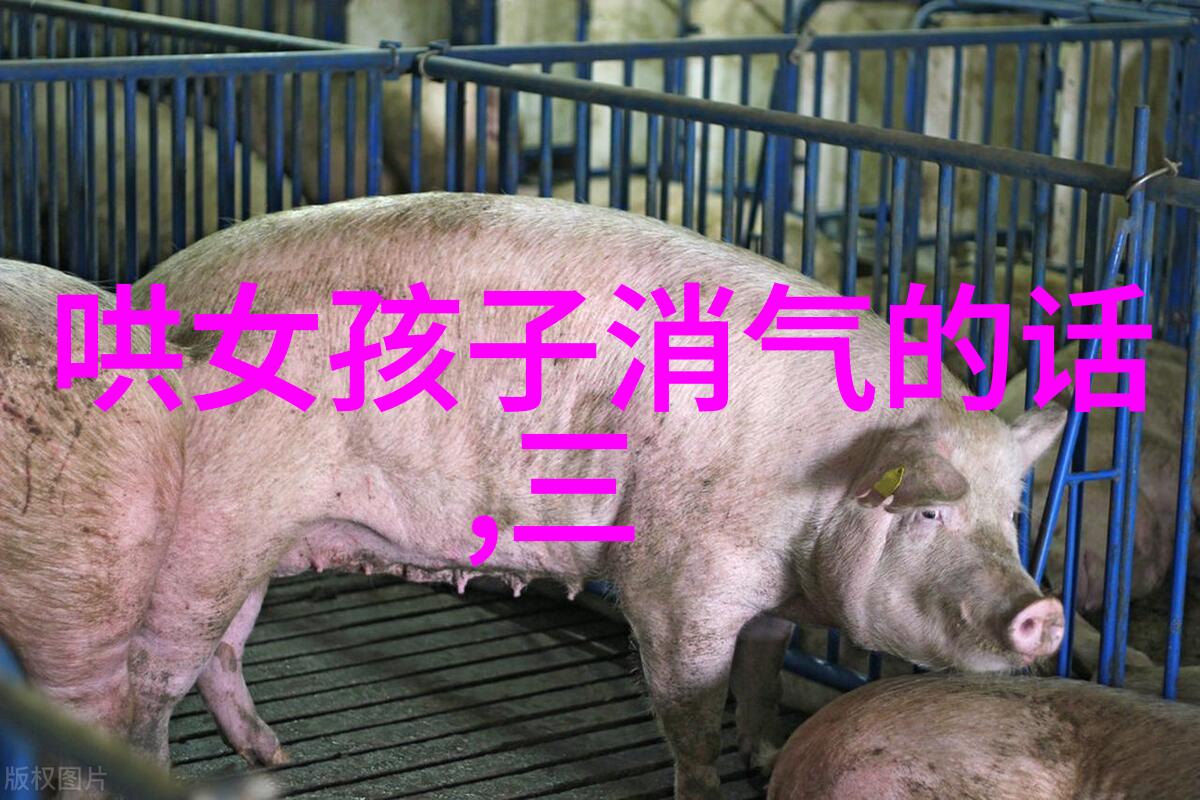 记者采访取经团队