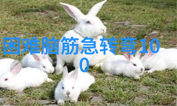 向前看 打一成语