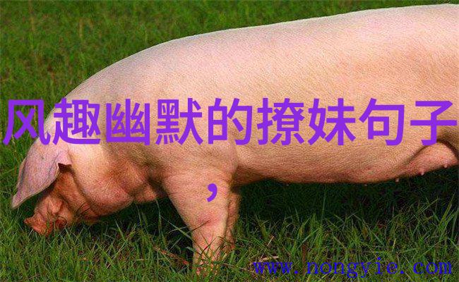 面试印象
