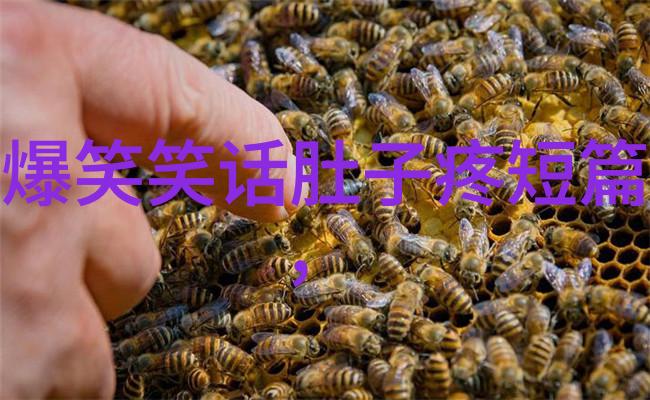 调音师