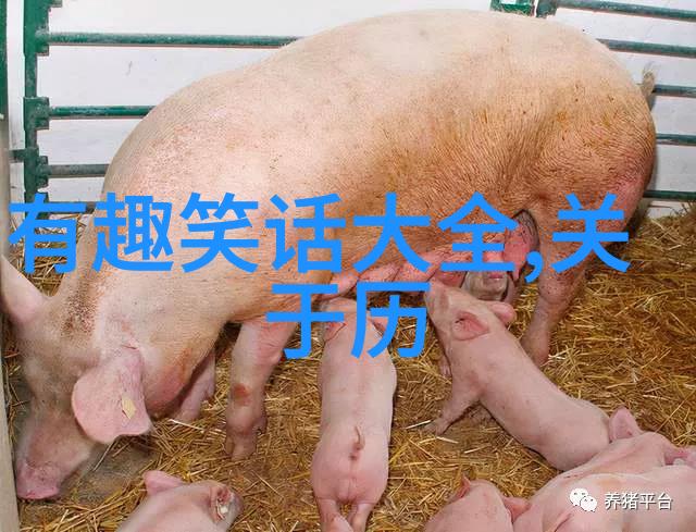 电影大俗套
