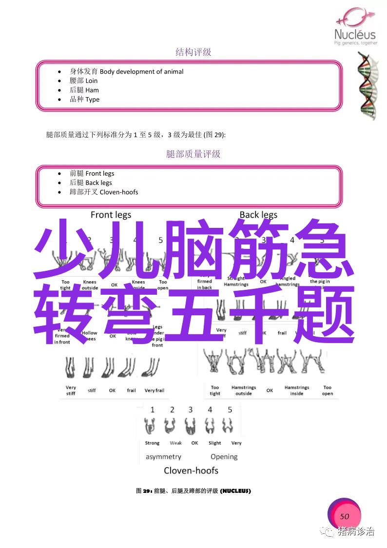 十访九不见 打一成语