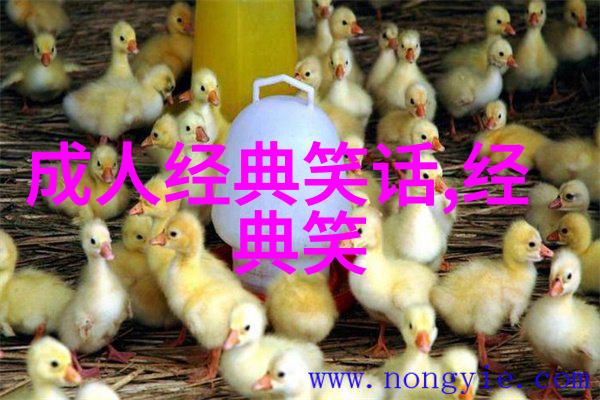 走夜路遇飞车党抢项链